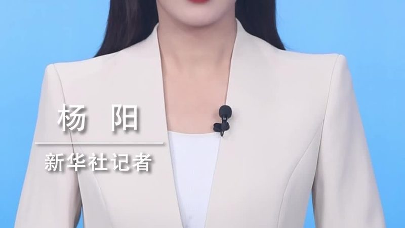 数据可视化图表类型选择